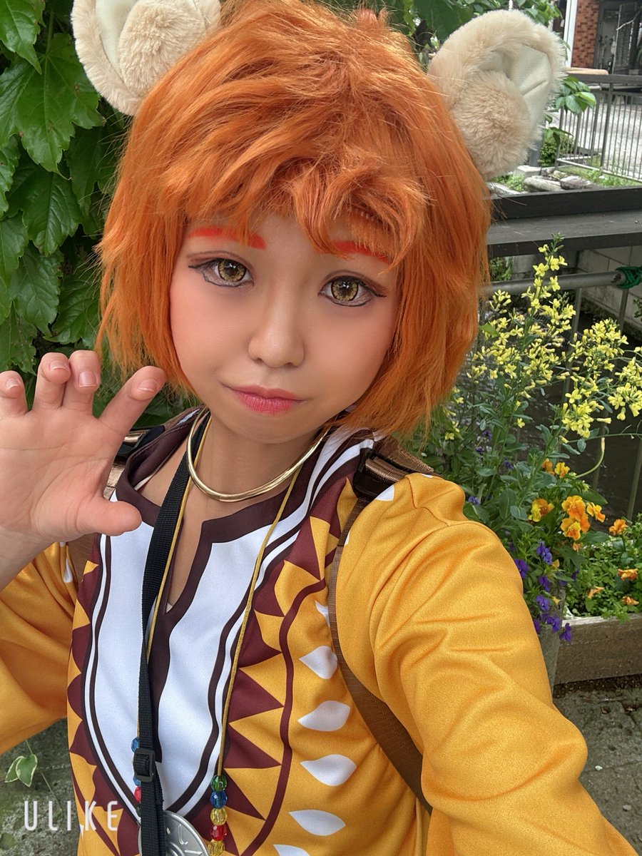 マル🐈🐾 アニフェス両日5/2❄️5/3🧶 tweet media