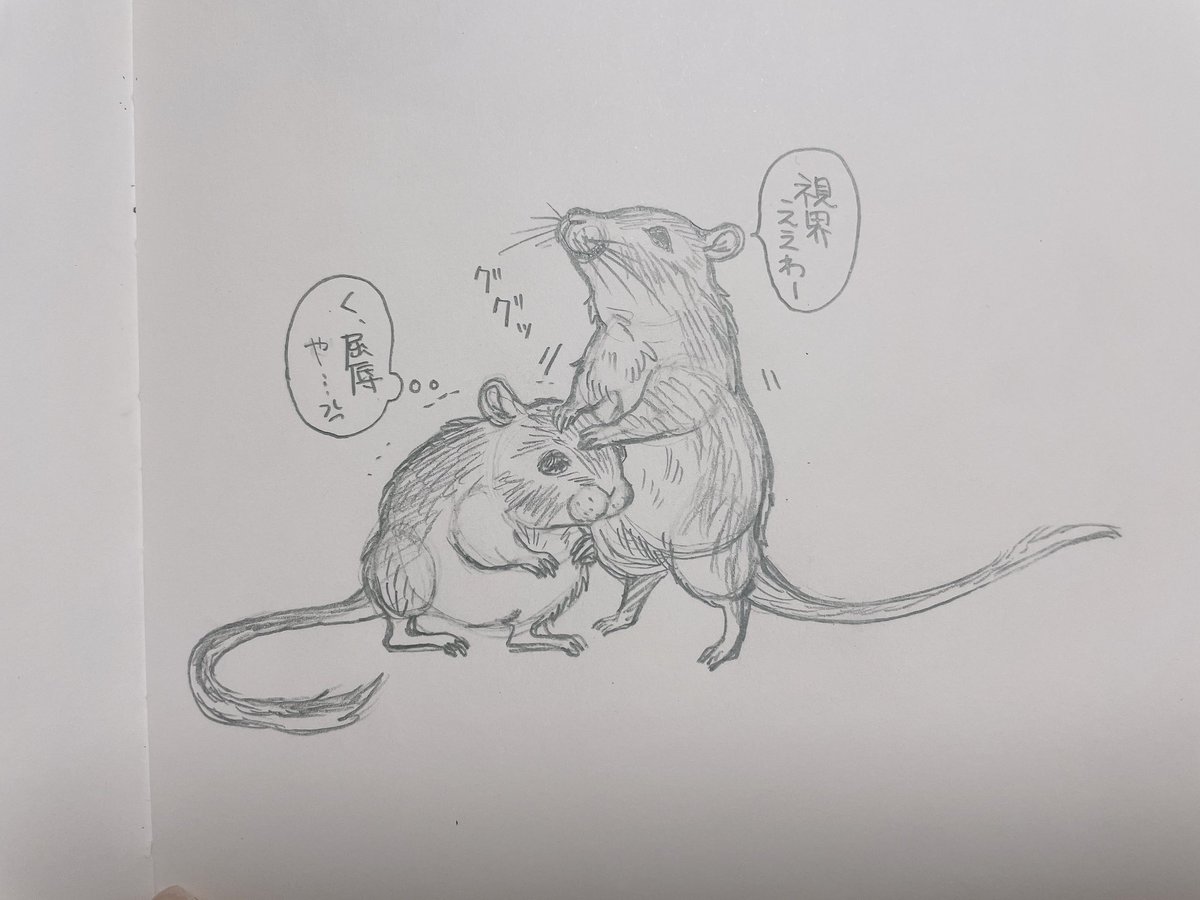 ちよまる様 ちよまる (@chiyomaru0327) on X