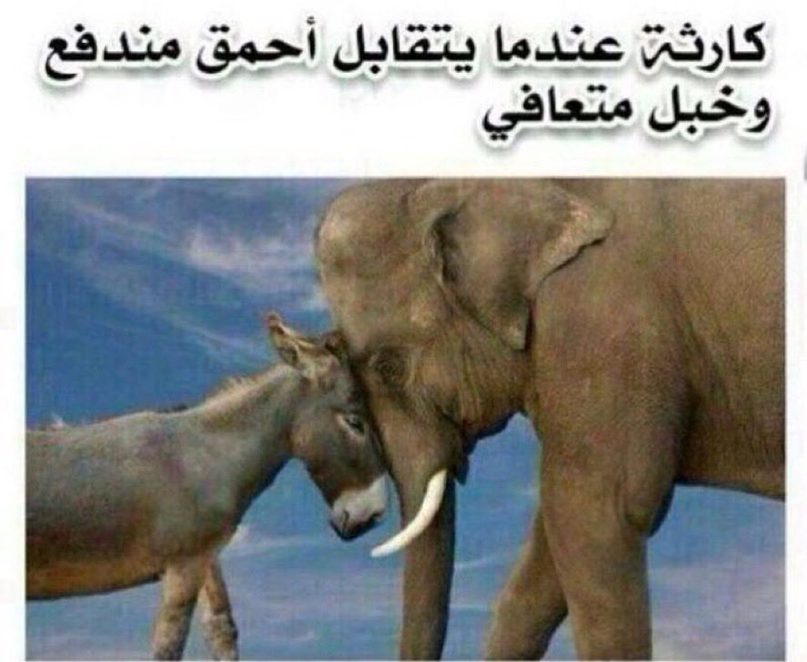 ⚡️ الحشيم ✨ tweet media