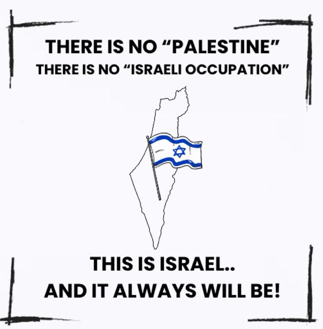 Vivid.🇮🇱 tweet media