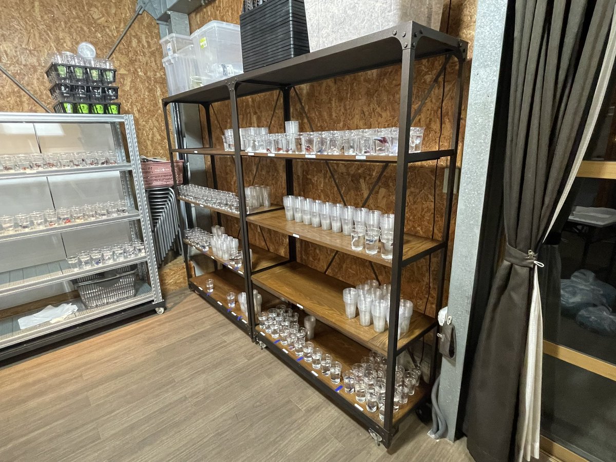 水槽屋 tweet media