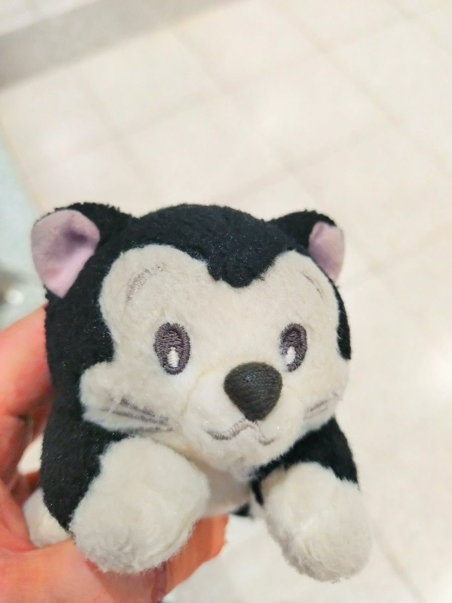 sheep85617091's tweet image. なくしていたフィガロのぬいぐるみ、見つかりました！！こころなしか、嬉しそうな気がする。。🥲
#ディズニー #フィガロ #disney #figaro