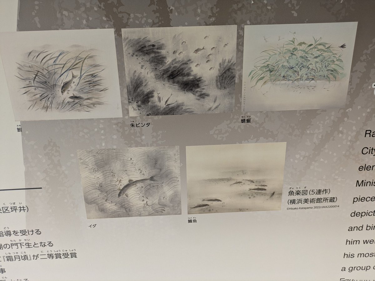 水辺のインフォメーション
生き物の昔ながらの呼び名らしい。

鮒→フナ
朱ビンタ→バラタナゴ？タナゴ類全般？
蜻蜓→トンボ
イダ→ウグイ
鰷魚→カワヒガイ？ハヤ系全般？

朱ビンタとイダは聞いたことあるが他はないな。