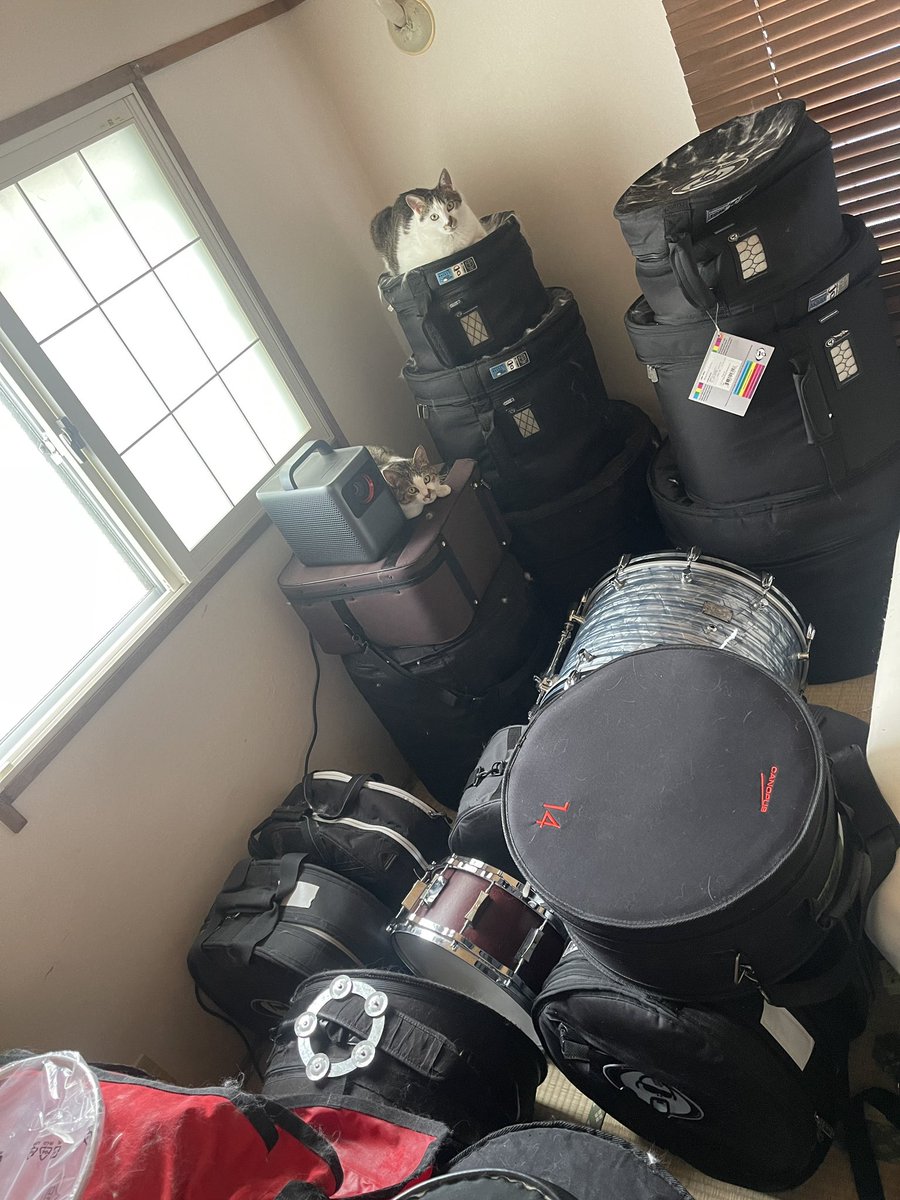nozakichi_drum's tweet image. 棚をDIYしてみた🥁
#snare #drums #DIY #猫