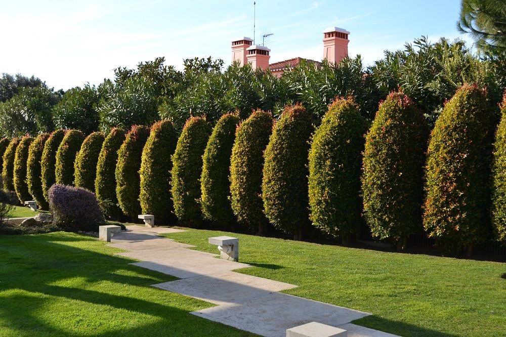 Botanique Designers tweet media