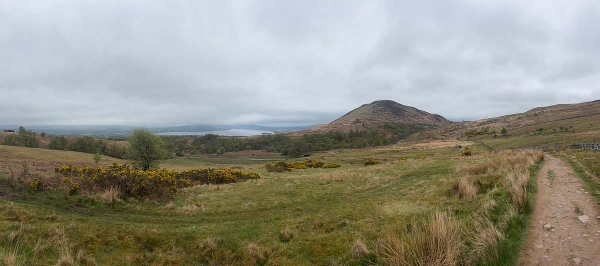 GAZDAN62's tweet image. Sunday morning trail run #ukrunchat #running #runner #fitness #exercise