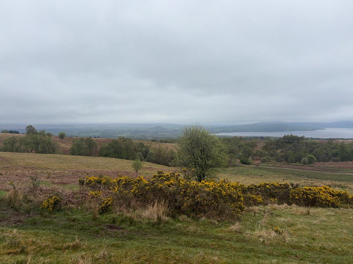 GAZDAN62's tweet image. Sunday morning trail run #ukrunchat #running #runner #fitness #exercise