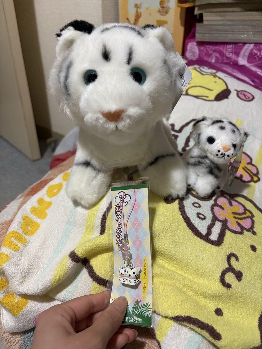 今日東武動物公園に行ってホワイトタイガーのぬいぐるみ&キーホルダー
