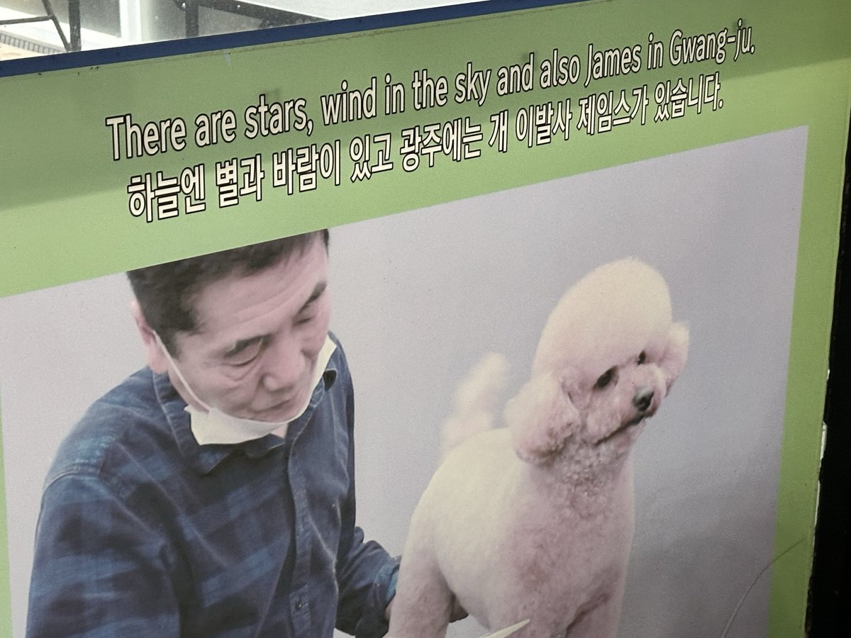 베짱이 tweet media
