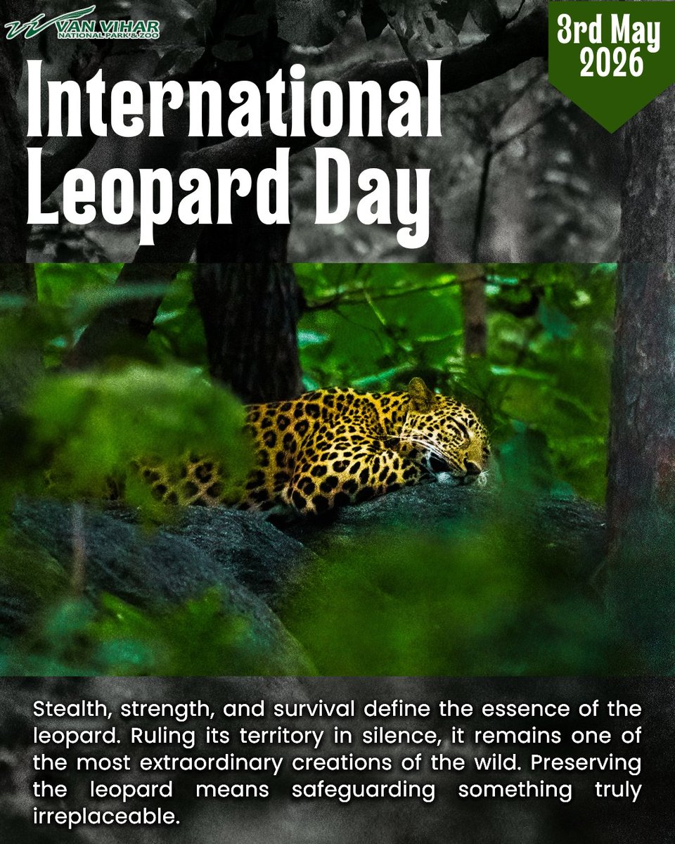 Van Vihar National Park tweet media