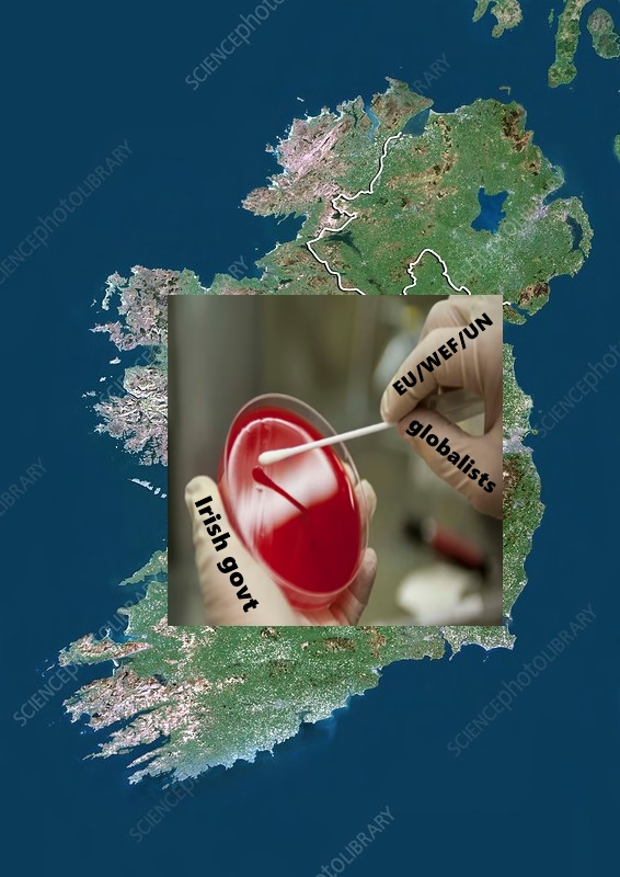 Maximil86429959's tweet image. The Republic of Ireland is now just an experimental petri dish &amp;amp; a testing ground for the agenda-driven &amp;amp; ideologically-captured globalist cartel, the EU/UN/WEF, &amp;amp; their loyal &amp;amp; sycophantic Irish subordinates - aka, the anti-Irish government/establishment/NGOs.⚠️🇮🇪⚠️👇👇👇
