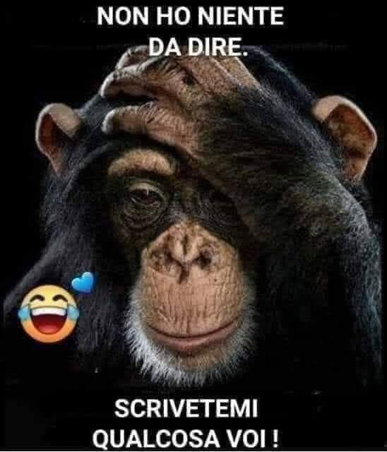 S@r@...🍀 tweet media
