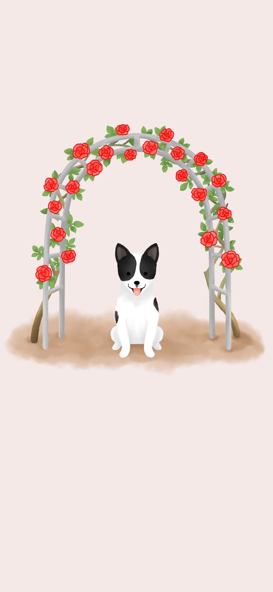 さえ🍀江咲早恵 tweet media