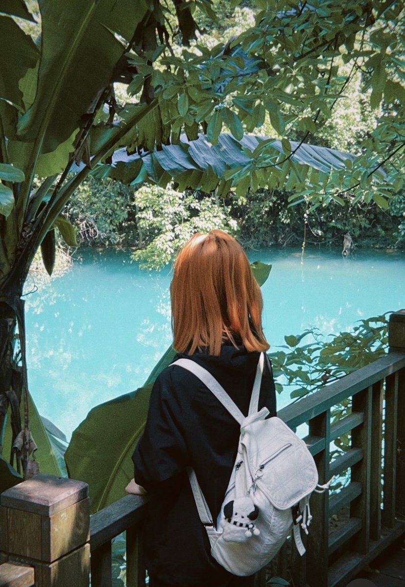 小小鱼4iS tweet media