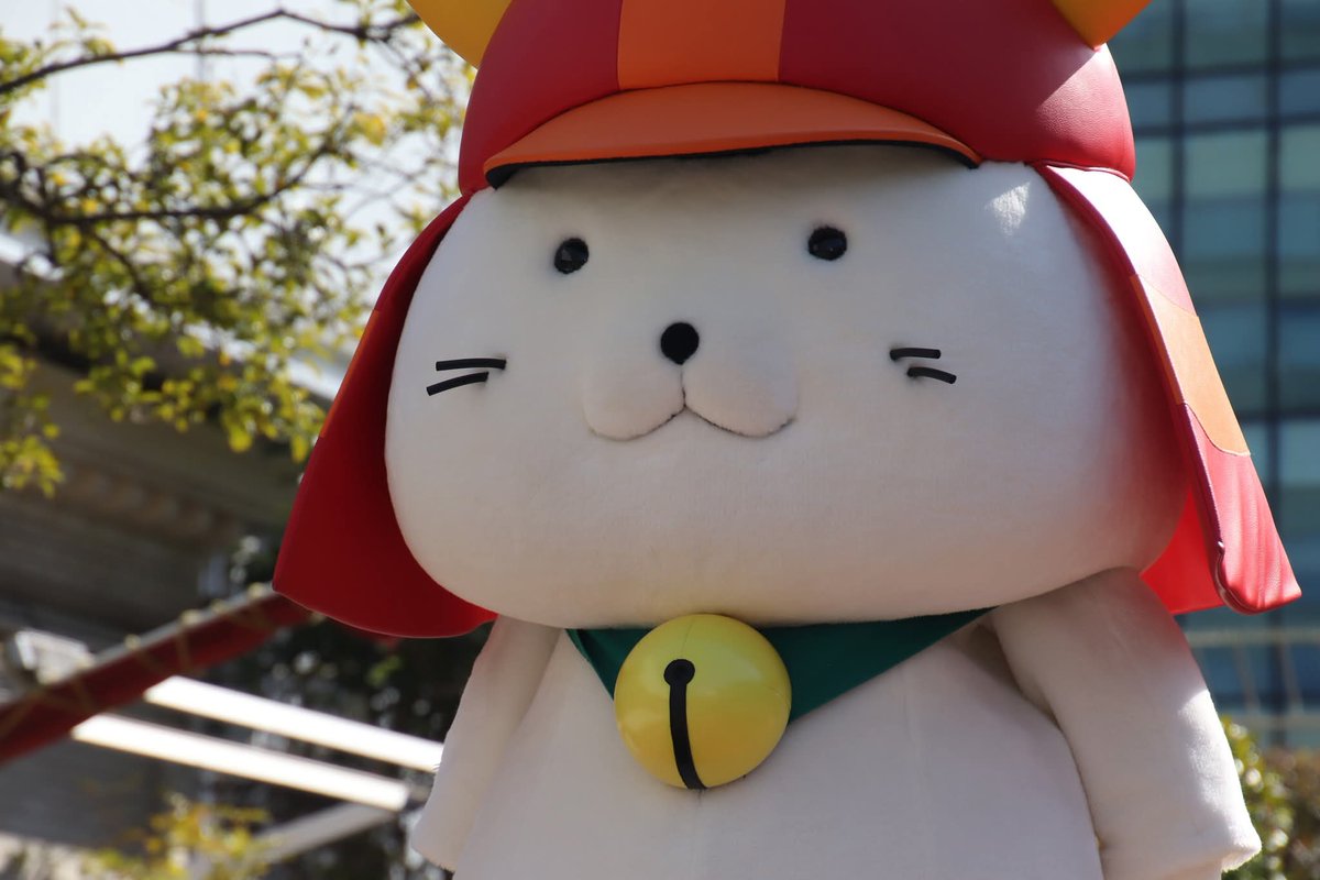 ぷっくりひこにゃん。