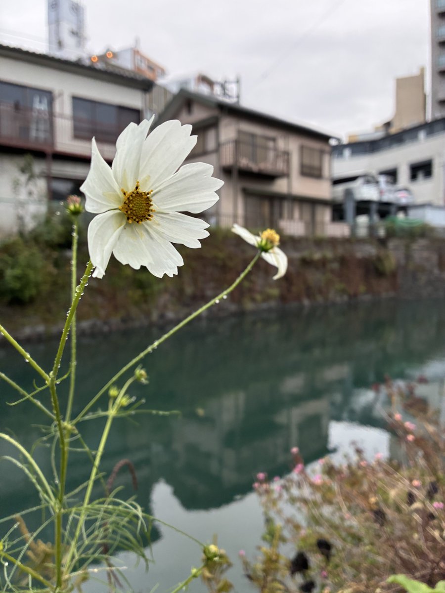 pooroletariat's tweet image. #photo #photography