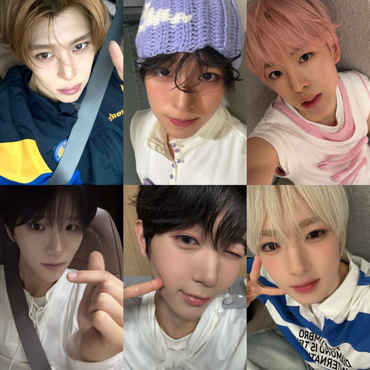 치 🪽 ode to love tweet media