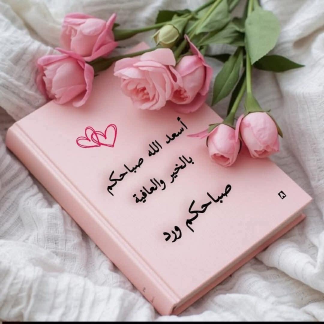 صبري الجندي tweet media
