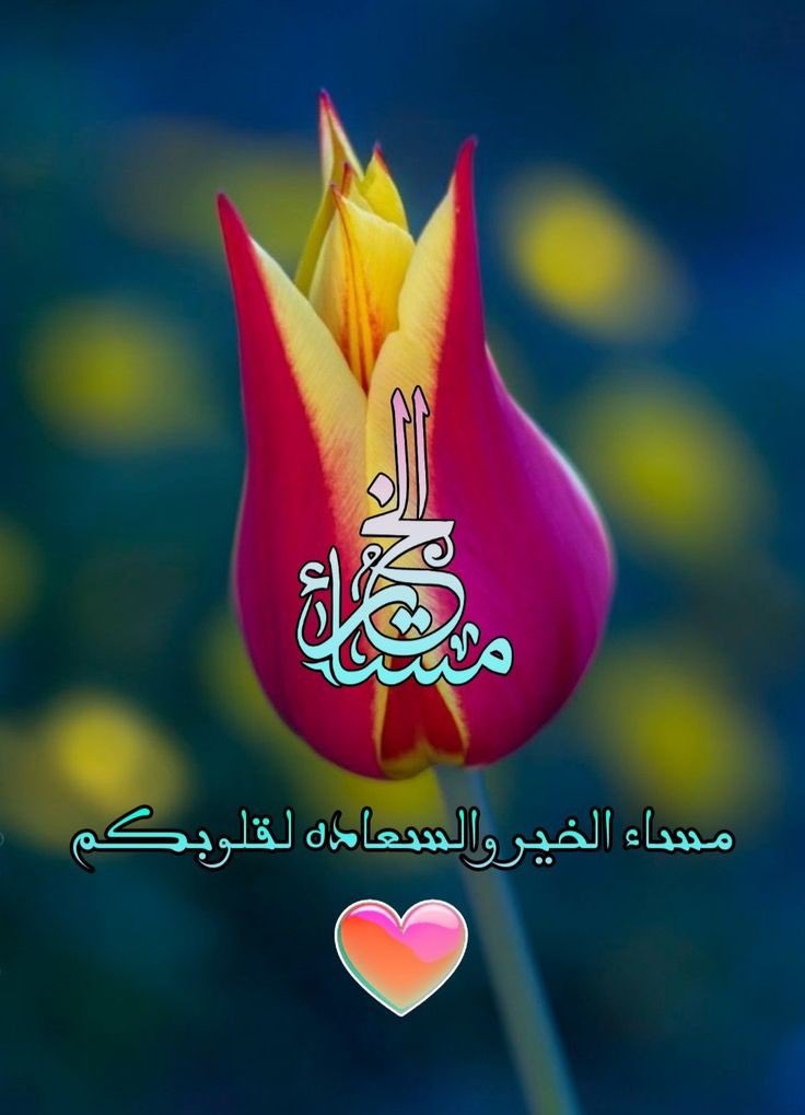Abu_Aboudi tweet media