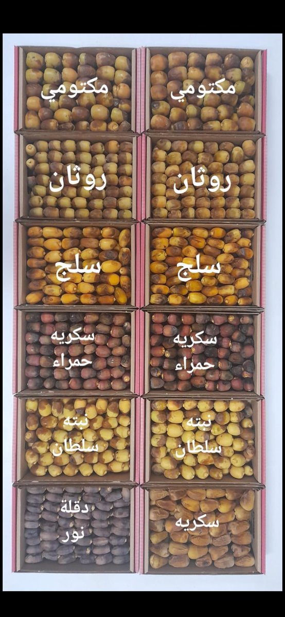 RANOF_'s tweet photo. @THEWOLFOFTASI @WaleedAlfaris2 انا لدي مزرعة الوالد وانا المشرف طبيب بيطري على الدواجن والبيض عضوي والتمور لدينا ٦٠٠نخله وحصلت صعوبه بالتصديرواشتغل لوحدي وحرص الوالد على عضوية المحصول والإهتمام بها ياليت تتم التصدير او الطلب مني وليس الباكستانين ماسكين مزارع القصيم وليسوامهتمين بالعضويه المشكلة ليس هناك تشجيع https://t.co/qO6gK3WXMg