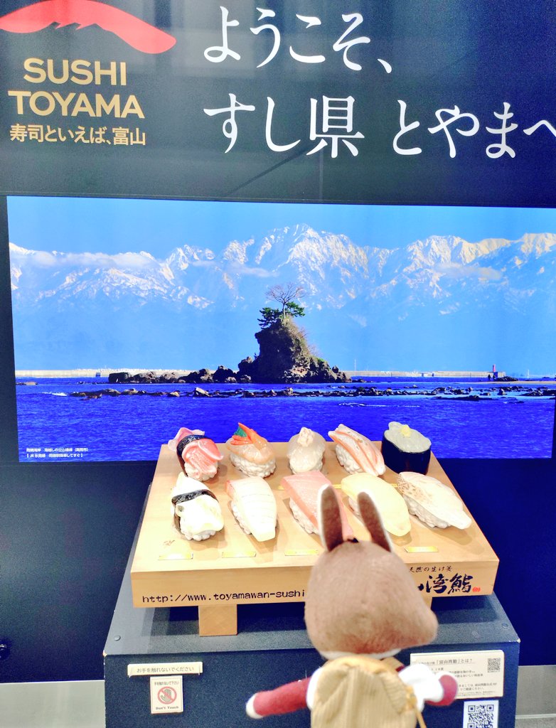 ペコネー tweet media