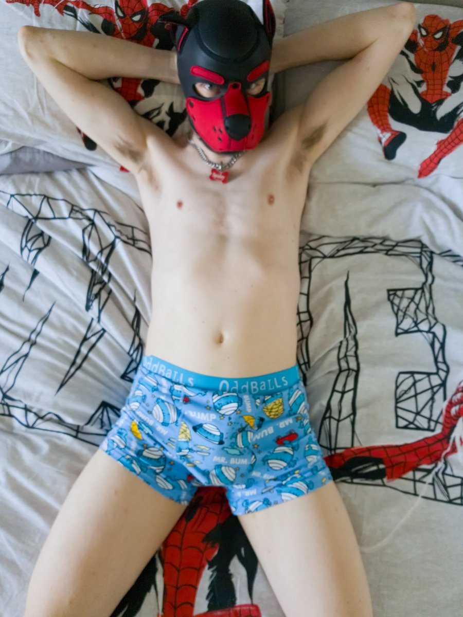 🕷️ Spidey-Pup🕷️ 🐾 tweet media