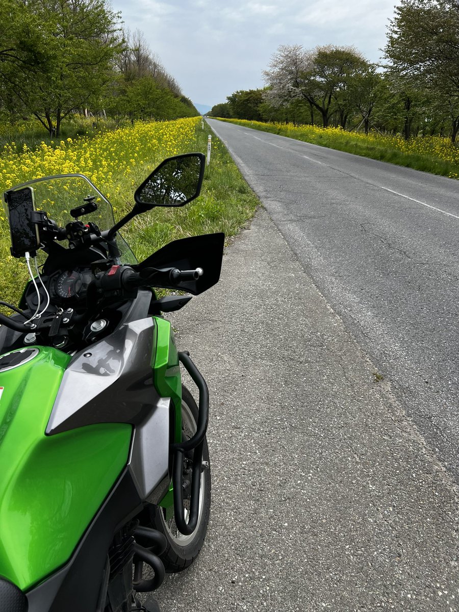 ventus5890's tweet photo. 本日 https://t.co/FAlVH6WEAX