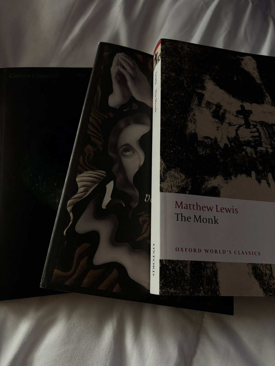 Eteinne's tweet photo. Haven’t finished a single book (except The Monk) despite buying them almost two years ago. I need to lock in. https://t.co/w7hPIGGUT3