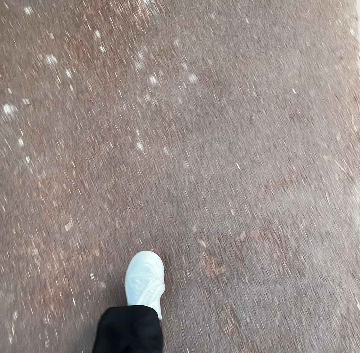 Ayşe Hemşire tweet media