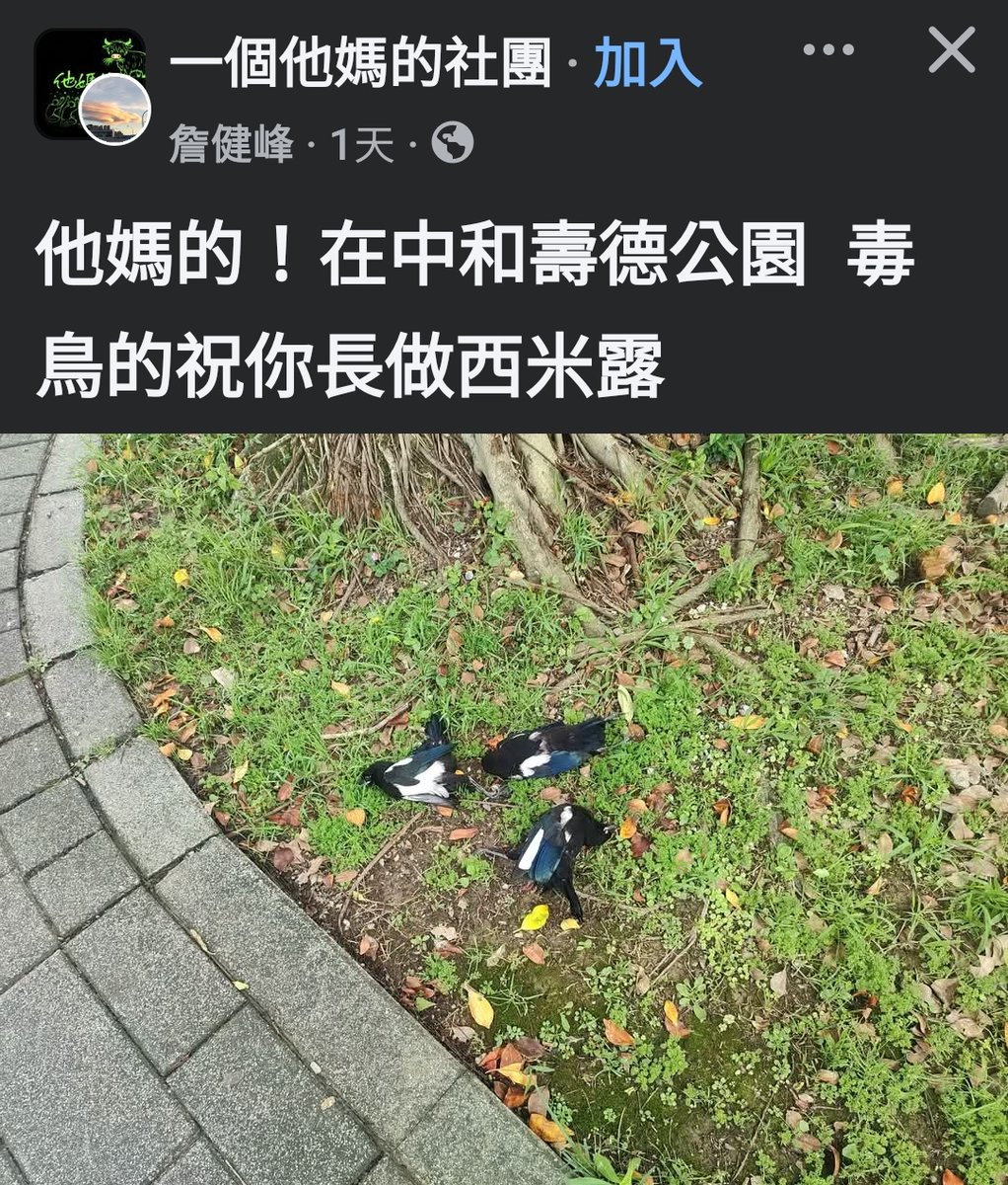 莫強求_二代目 tweet media