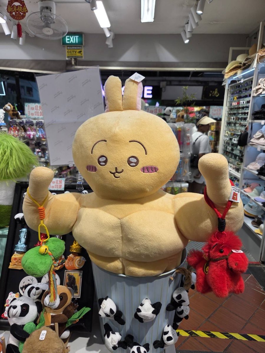 uccincyopa's tweet photo. こんなにムキムキなの(꧞ˆᢦˆ)？ https://t.co/XZBEZk7z7u