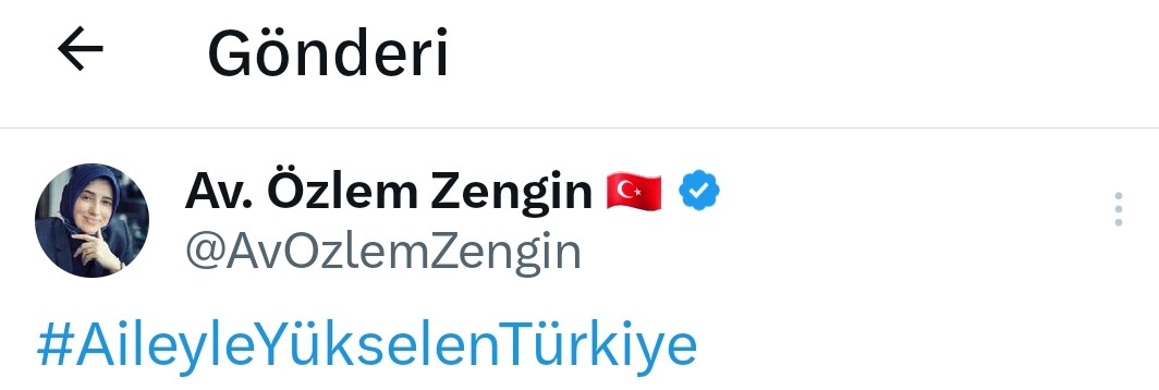 Serdar Arseven tweet media