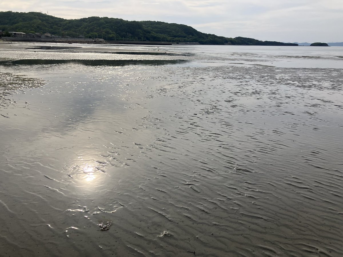 ささまほ｜医療・介護ライター・プランナー🏝️ tweet media