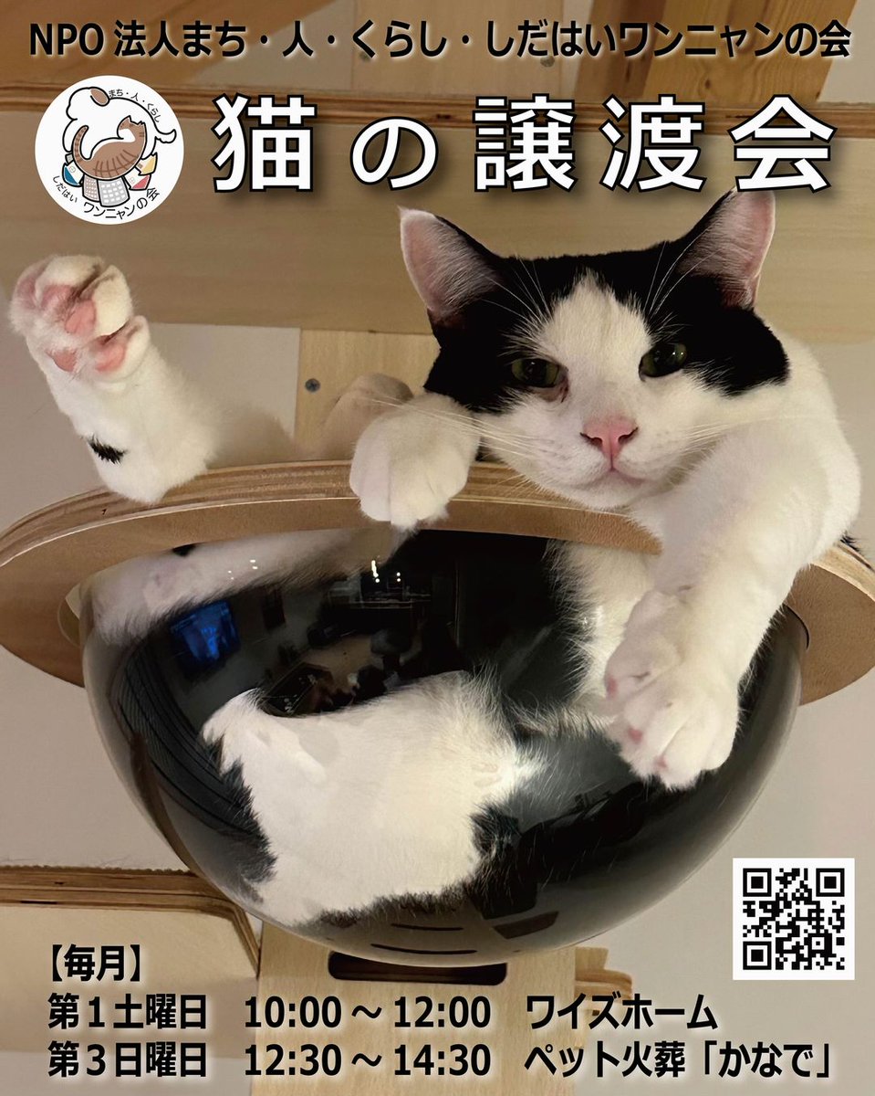 動物保護活動に理解のある地元企業様とつながることができました。あり難いことです。

#しだはいワンニャンの会　#保護猫を家族に　#譲渡会