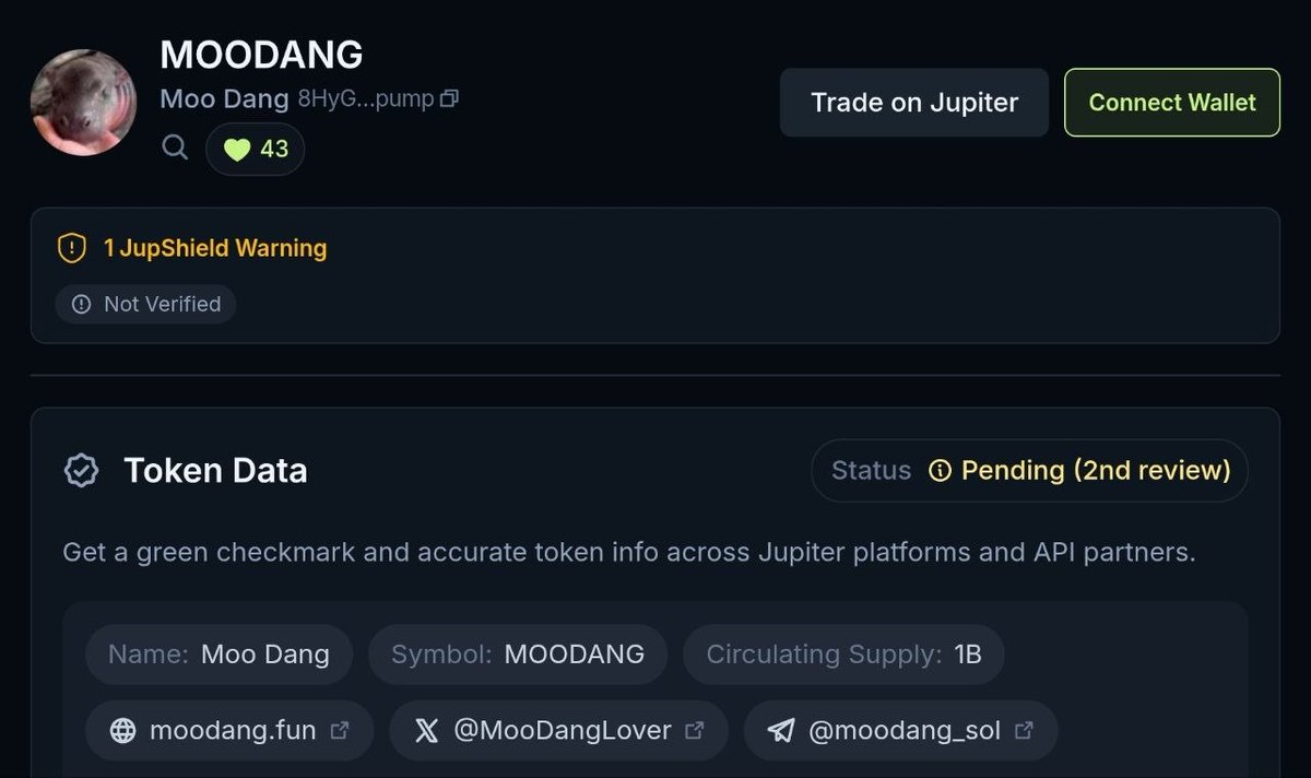 SephOnChain 🕵️ tweet media