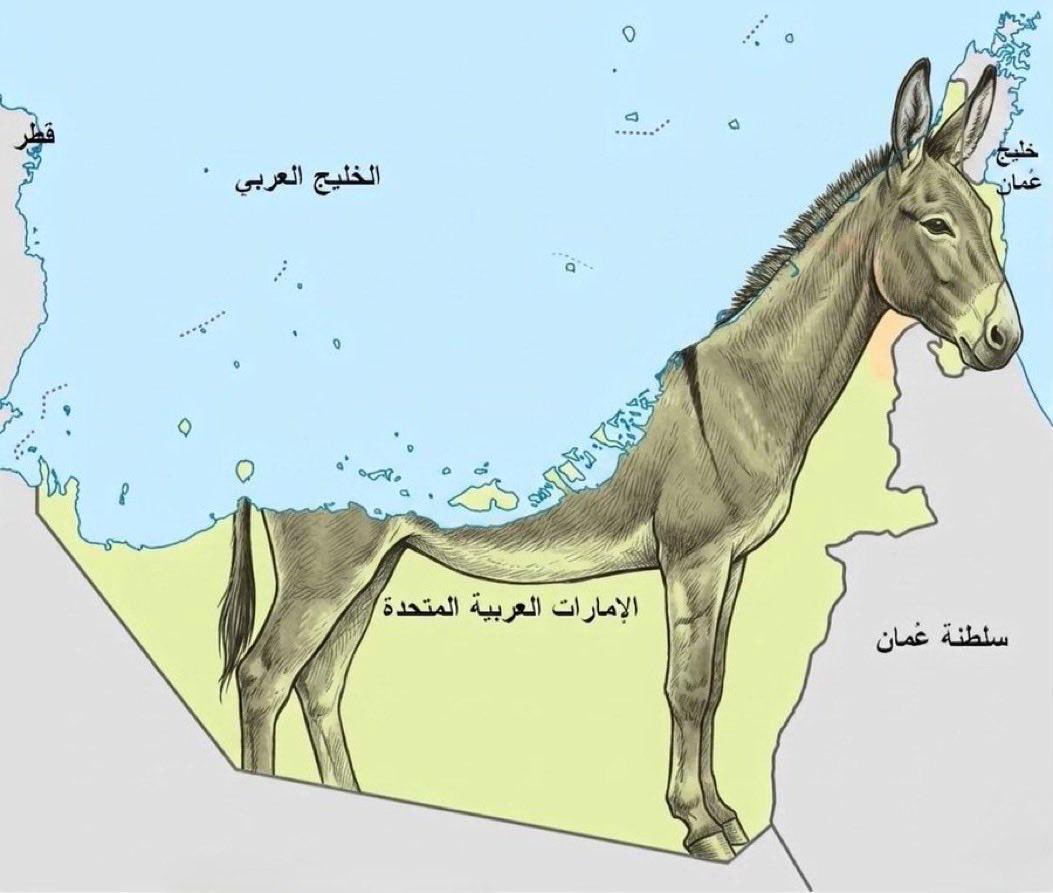 ℳ𝒶𝒿ℯ𝒹 🇸🇦 tweet media