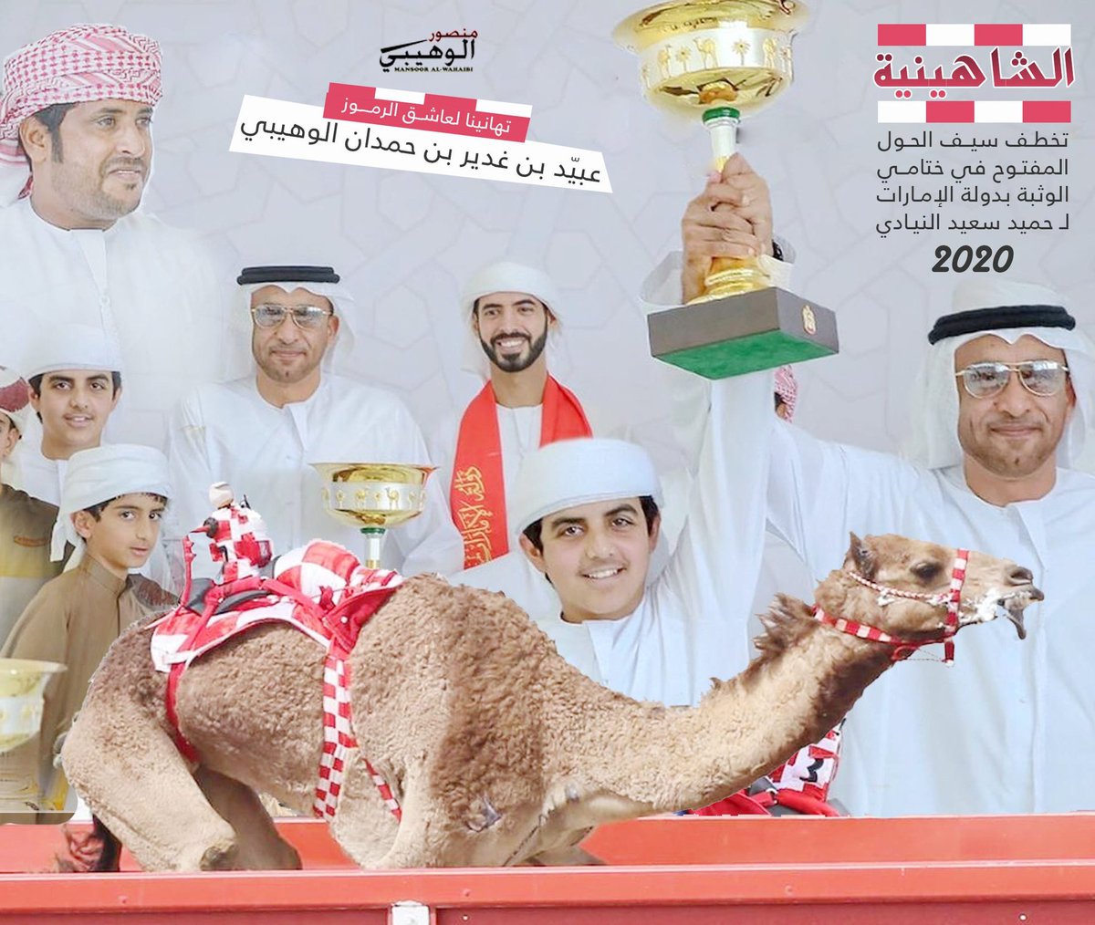 الهجن الاصايل 🐪 tweet media