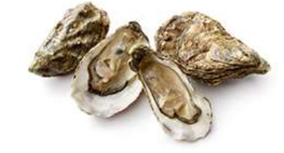 bactiman63's tweet image. Health officials in #Mobile County, #Alabama report the first case of #vibriosis of the year, a potentially serious bacterial infection associated with exposure to certain coastal waters and consumption of contaminated seafood. #vibriovulnificus