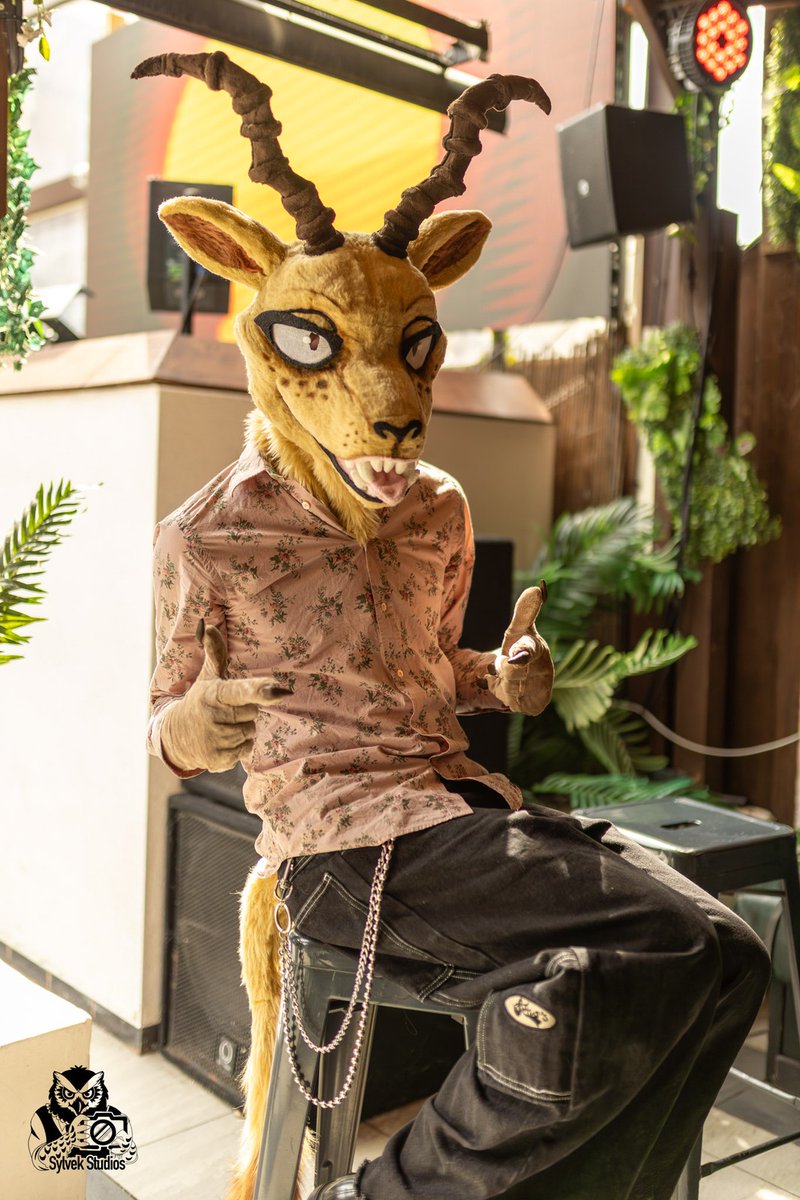 Canid_K's tweet photo. the shirt matches the surroundings perfectly💯
📸: Sylvek
#BEASTARS https://t.co/uzvG6D3ZuB