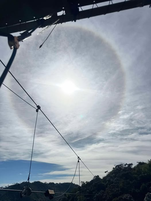 Mysongshari's tweet photo. #whatifthese #everyday #now #totallynormal #halos #Everywhere #worldwide #arenothalosbut #shadows #ofwhatsbehindorinfrontofourrealsun #whataretheyhiding #why #whatifthelightgoesout #fb #erictorres #stillsaying #icecrystals:) #theymustbeterrified:( #revelation12bnext #john #prep💜 https://t.co/vhFImWrhim