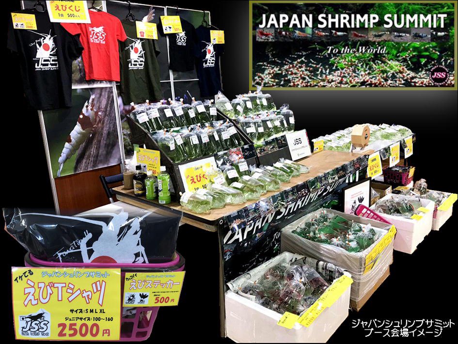 abi4747's tweet photo. AQUA FESTAのブース位置が発表されました😊
JSSは入り口入って右の壁の奥の方です。
ビギナーさん応援チェリー、レッドビー1匹100円！
その他新種系などたくさん種類がいるのでぜひ見に来てください♪
もちろん！プレコ、コリドラスもいますよ~
#AQUAFESTA  #シュリンプ #プレコ #コリドラス https://t.co/CcdwyYQqs6