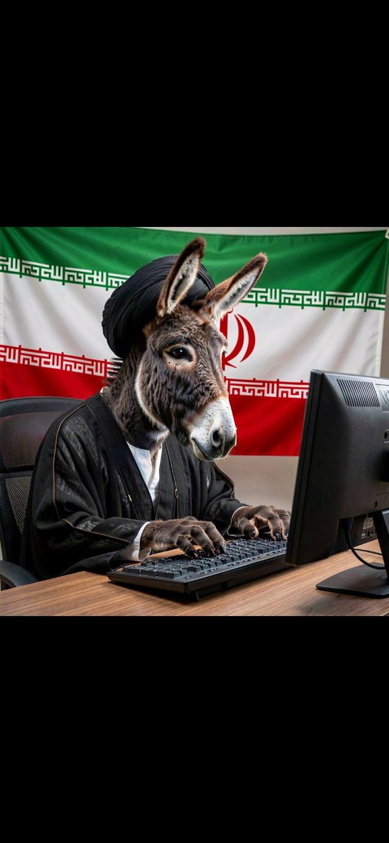 الاحدب tweet media