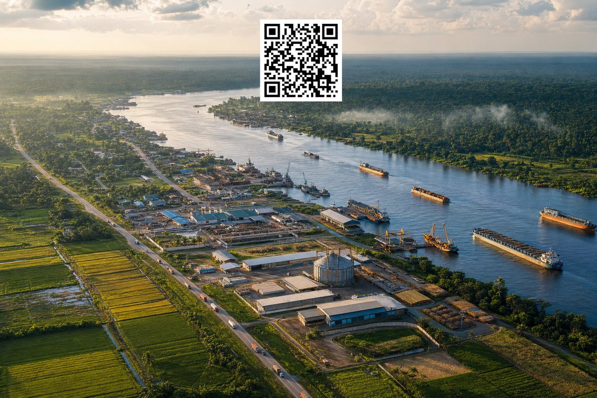Nos terres et nos fleuves sont des autoroutes naturelles vers la prospérité.💙🇨🇩🇨🇩

Le Mongala et le Nord-Ubangi ont un potentiel exceptionnel pour dominer la production de riz et de poisson en s'intégrant pleinement à l'économie fluviale de notre pays. De leur côté, l'Équateur