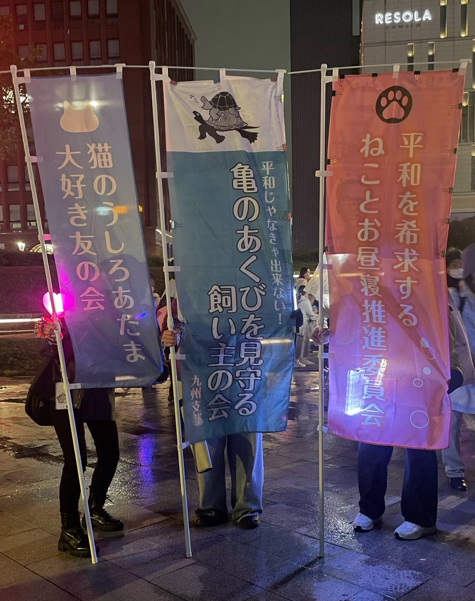 まりえる🐈⁾⁾🕊️ tweet media