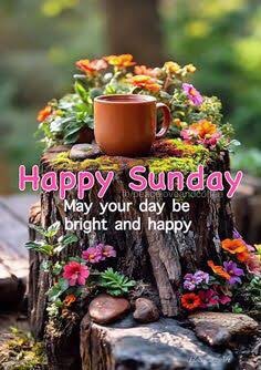 annarose941994's tweet image. Happy Sunday y’all &amp;amp; good morning #fypシ゚ #Goodmornig #happysunday