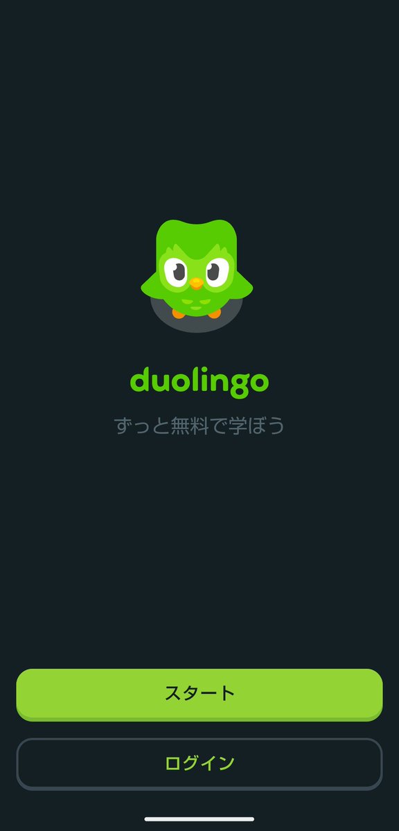 めめさんでーす tweet media