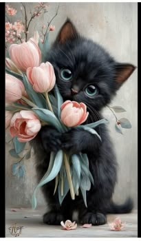 CATIZEN tweet media