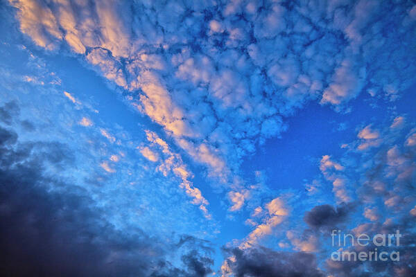TLawren37609829's tweet image. Ascending - #clouds #skies #nature #beauty