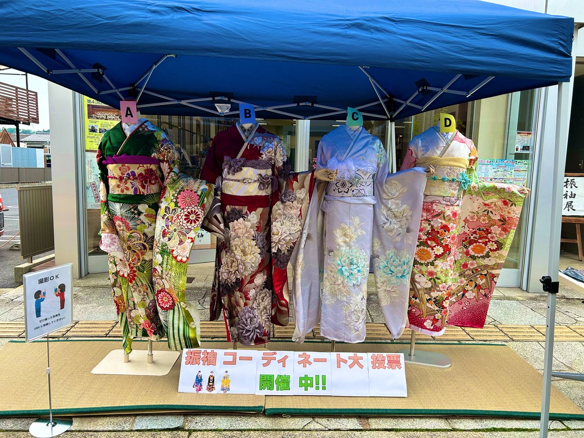 masako💚珍獣妖精 tweet media