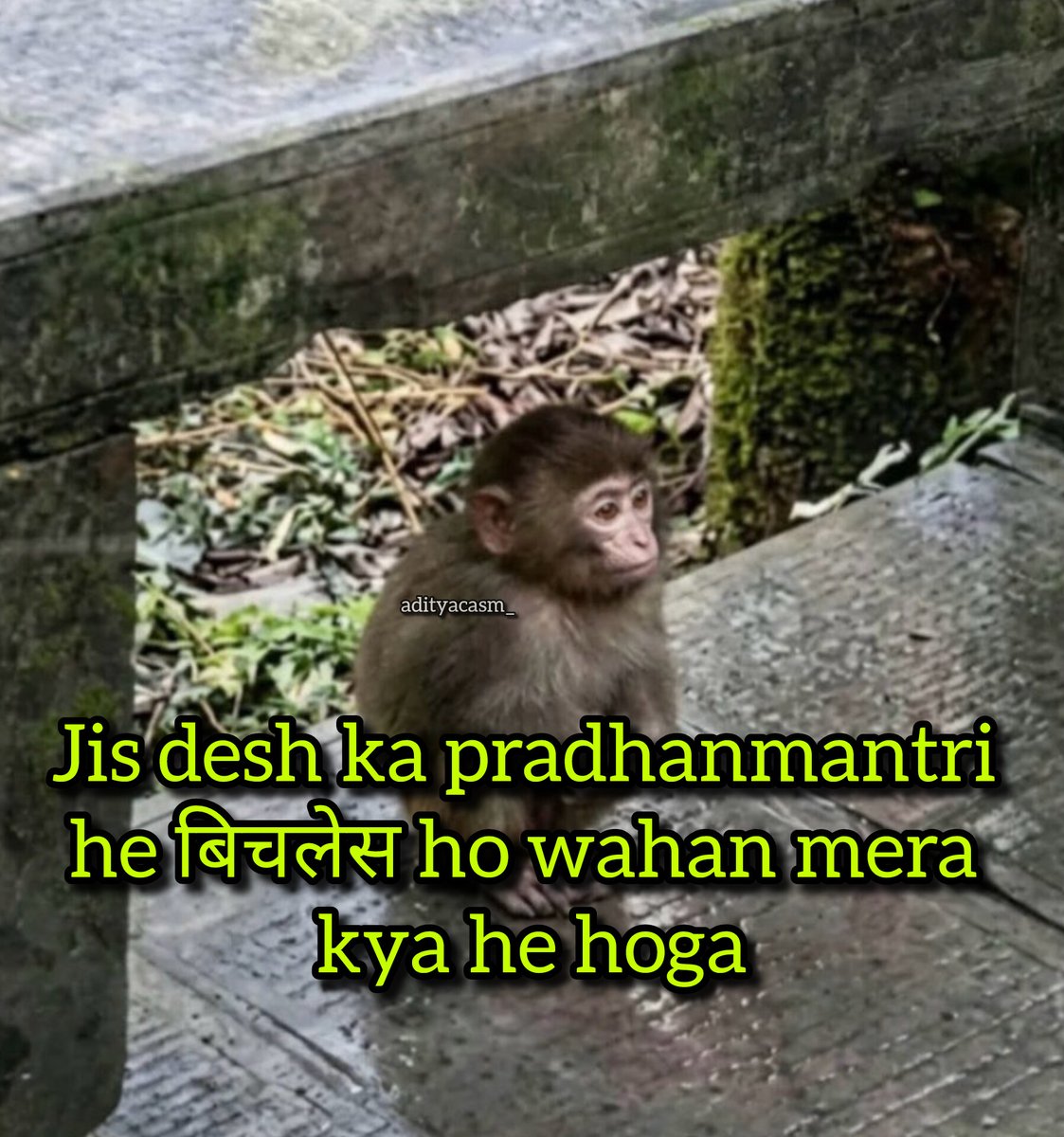 Aditya tweet media